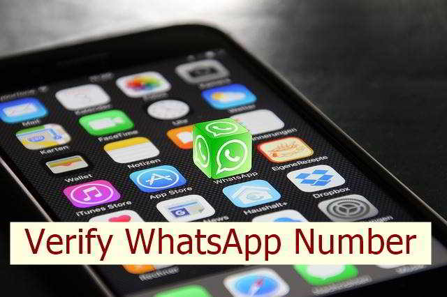 Verify WhatsApp Phone Number