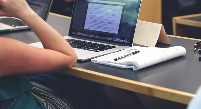 Essay writing services